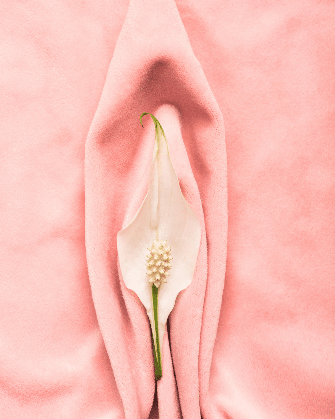 Labiaplasty